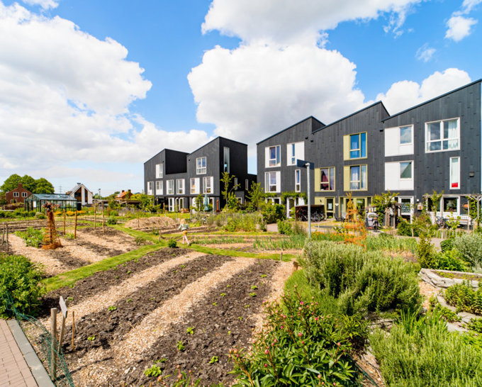 Waarom is een groene tuin zo belangrijk? Waarom is een groene tuin zo belangrijk?